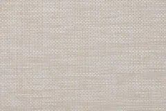 PVC Placemat ZJ440007