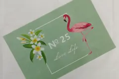 Color Printed Placemats ZJCY002