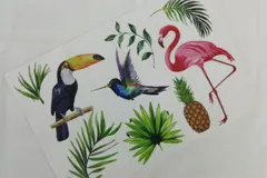 Color Printed Placemats ZJCY002