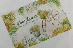 Color Printed Placemats ZJCY002